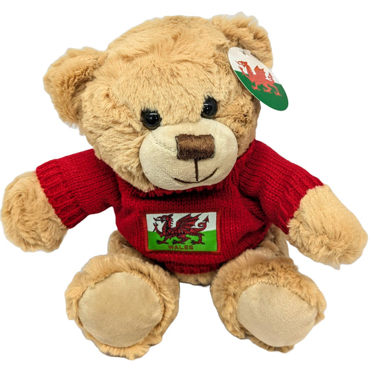 Wales Welsh Red Dragon Flag Teddy Bear