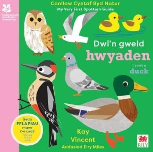 Book - Dwi'n Gweld Hwyaden / I Spot a Duck - Hardback