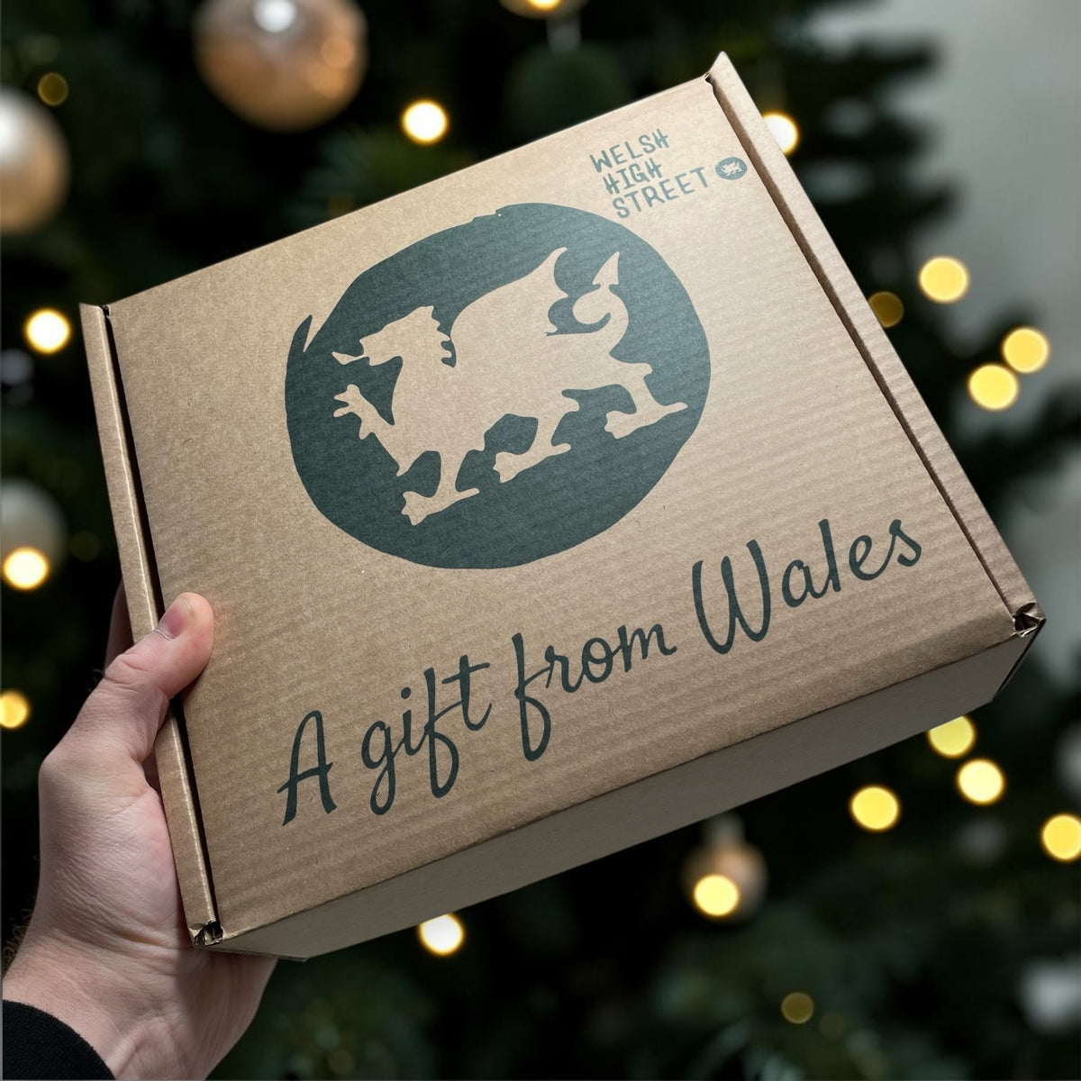 Set o Fwgiau Tsieina Asgwrn Bywyd Morol Cymru