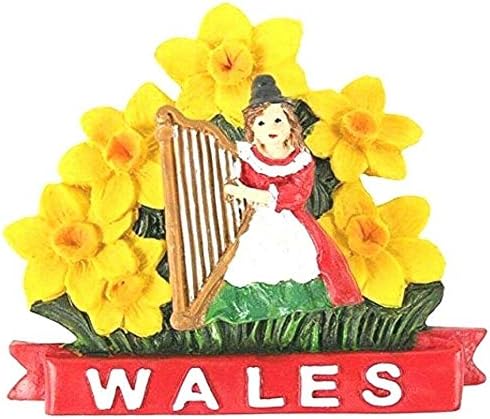 Welsh Lady with Daffodils Magnet