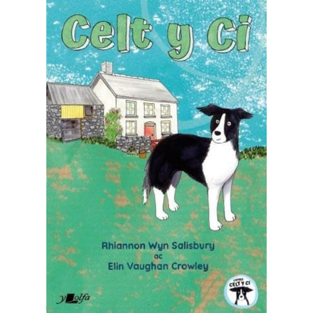 Llyfr - Celt y Ci - Clawr Meddal