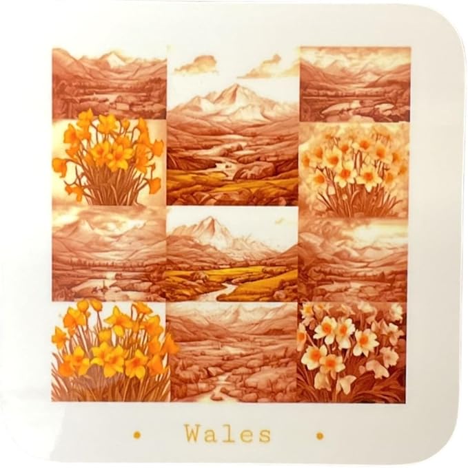 Wales - Fields Of Daffodils Coaster