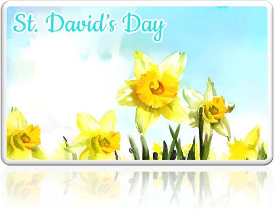 St David's - Field of Daffodils Magnet