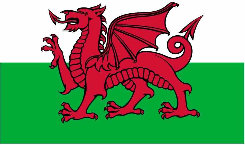 Fabric Red Dragon Welsh Flag