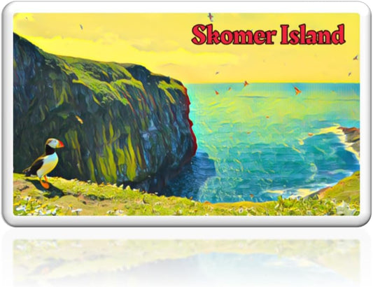 Welsh Fridge Magnet - Skomer Island