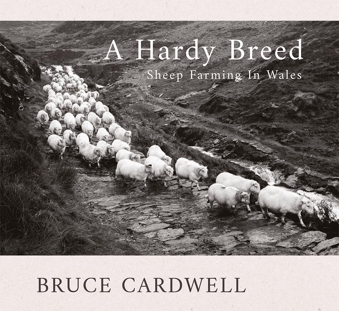 Book - A Hardy Breed: Sheep Farming In Wales - Paperback