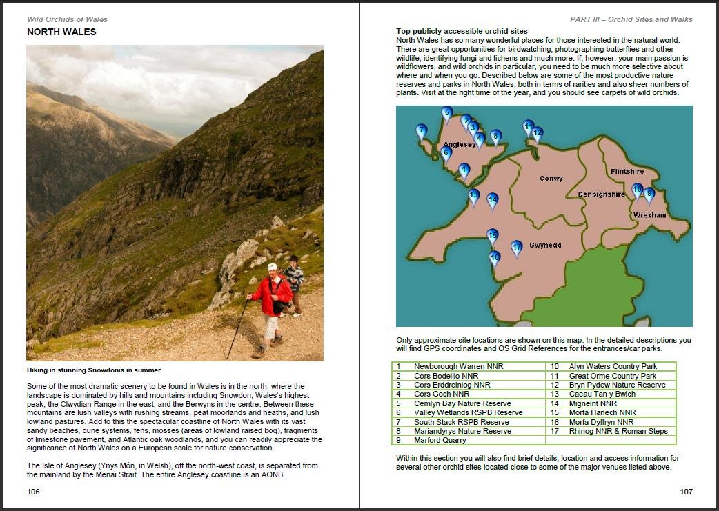 Llyfr - Tegeirianau Gwylltion Cymru - Clawr Caled