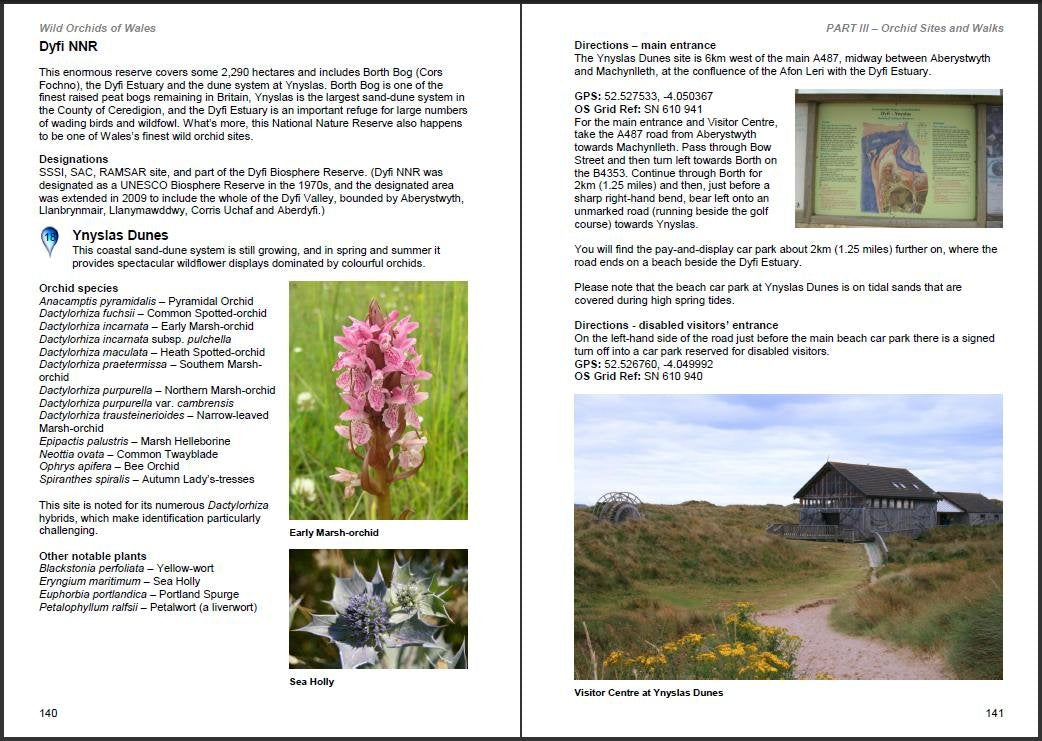 Book - Wild Orchids of Wales - Hardback