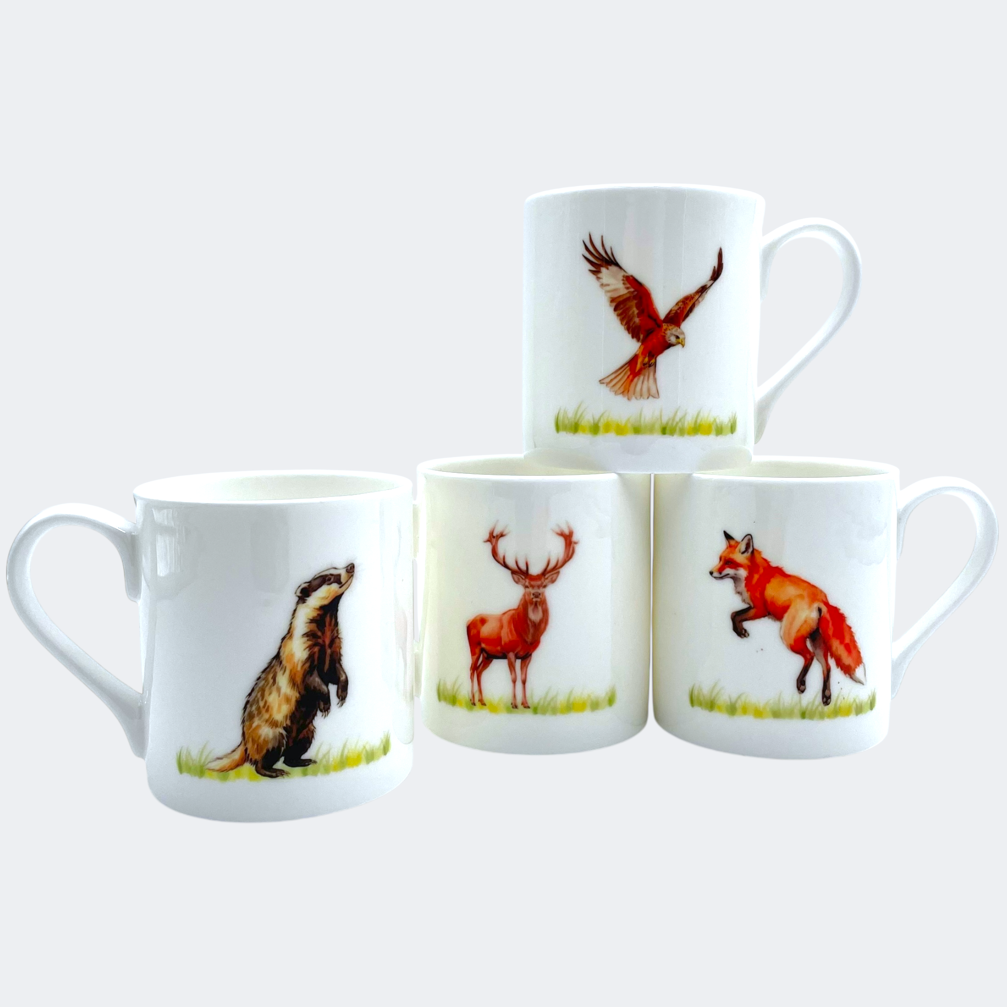 Welsh Wildlife Bone China Mug Set