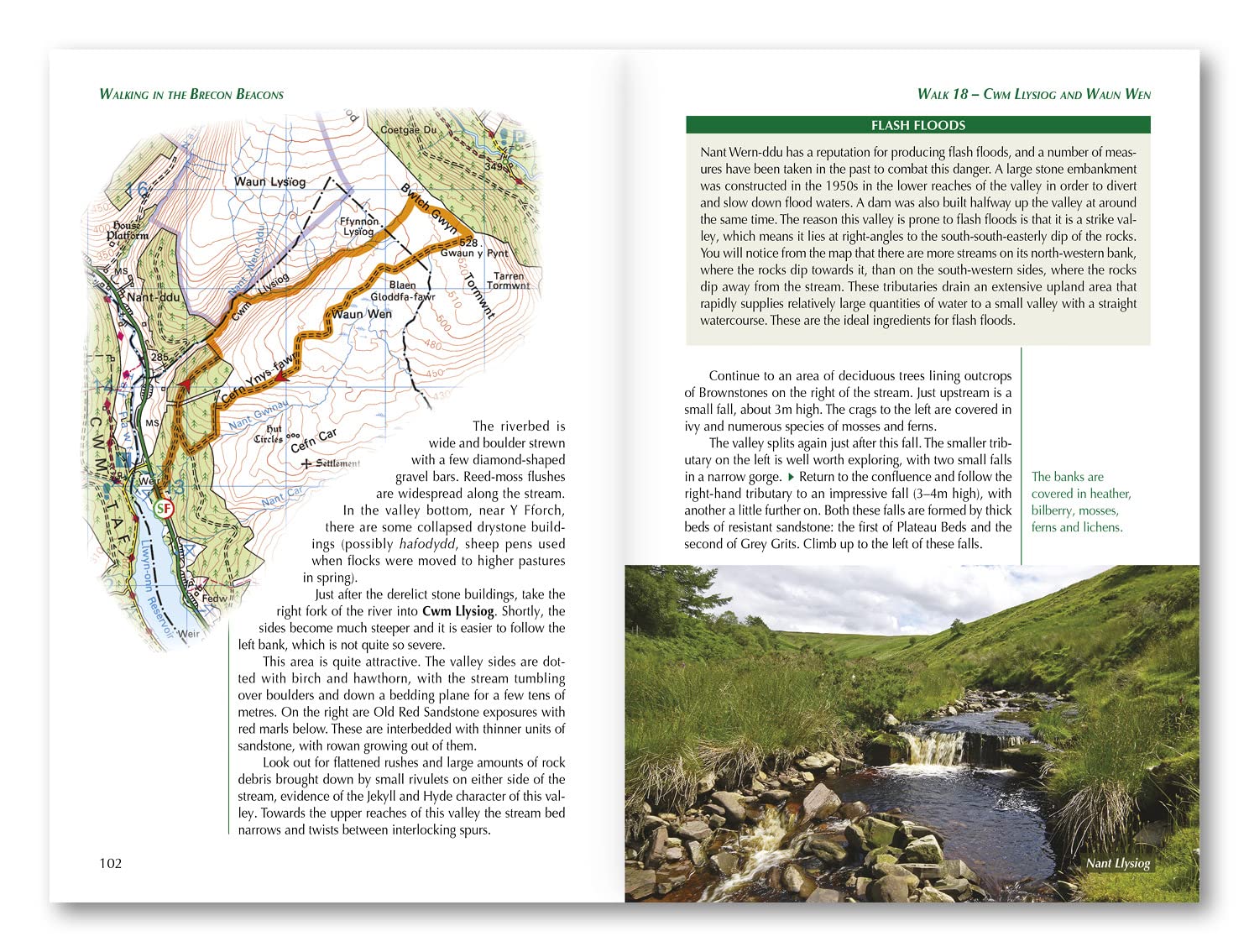 Book - Walking in the Brecon Beacons: 45 Circular Walks in the National - Clawr Meddal