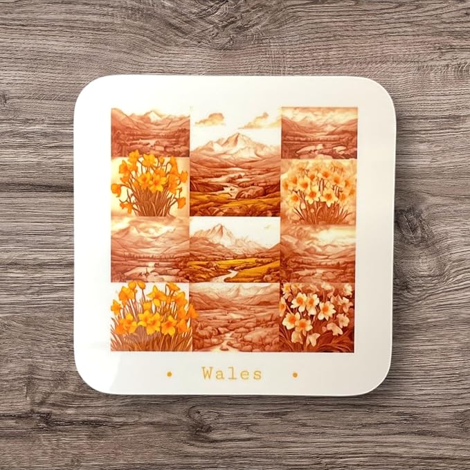Wales - Fields Of Daffodils Coaster