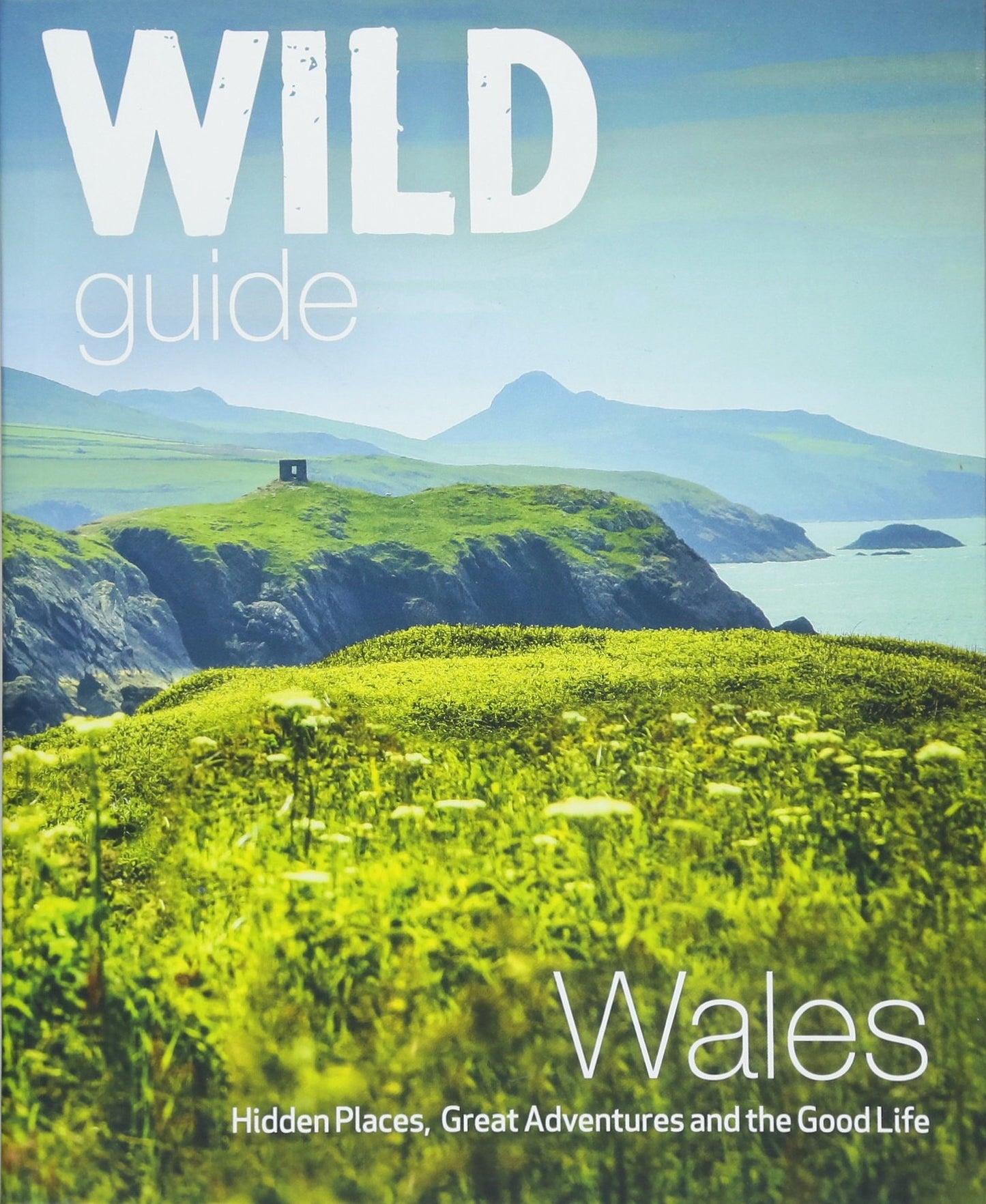 Book - Wild Guide: Cymru - Clawr Meddal