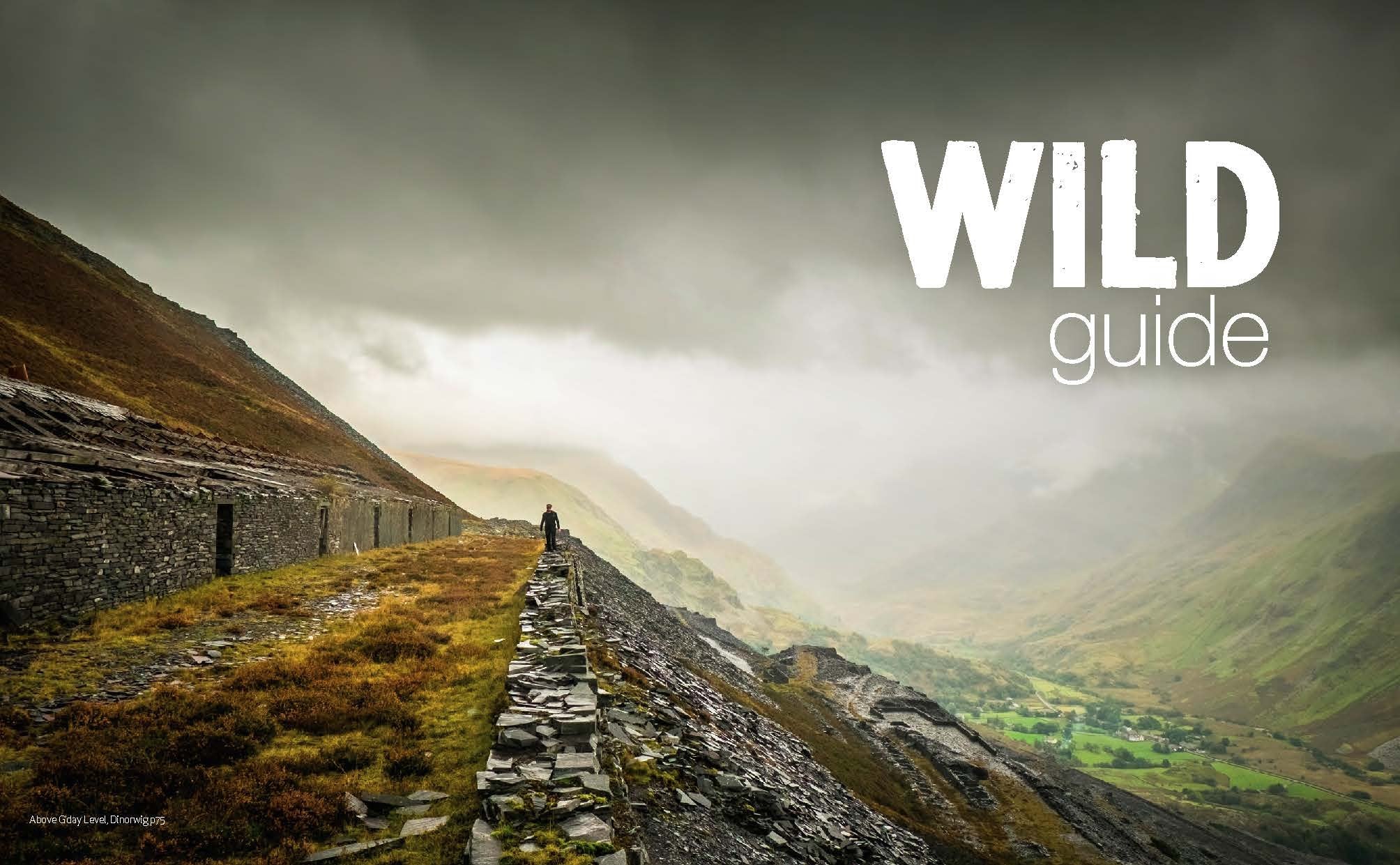 Book - Wild Guide: Cymru - Clawr Meddal