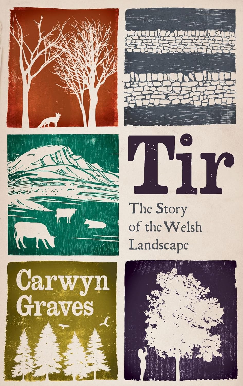 Llyfr - Tir : Hanes Tirlun Cymru - Clawr Caled