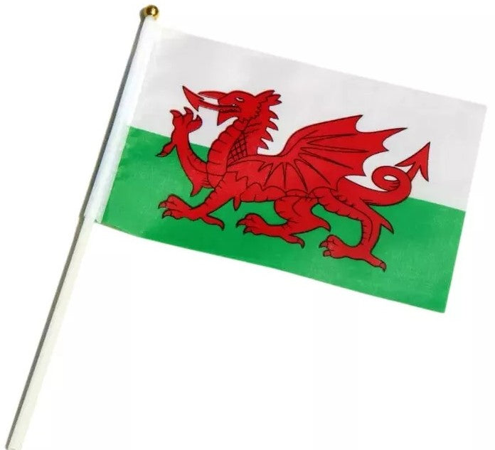 Baner Ddraig Goch Cymru ar Ffyn