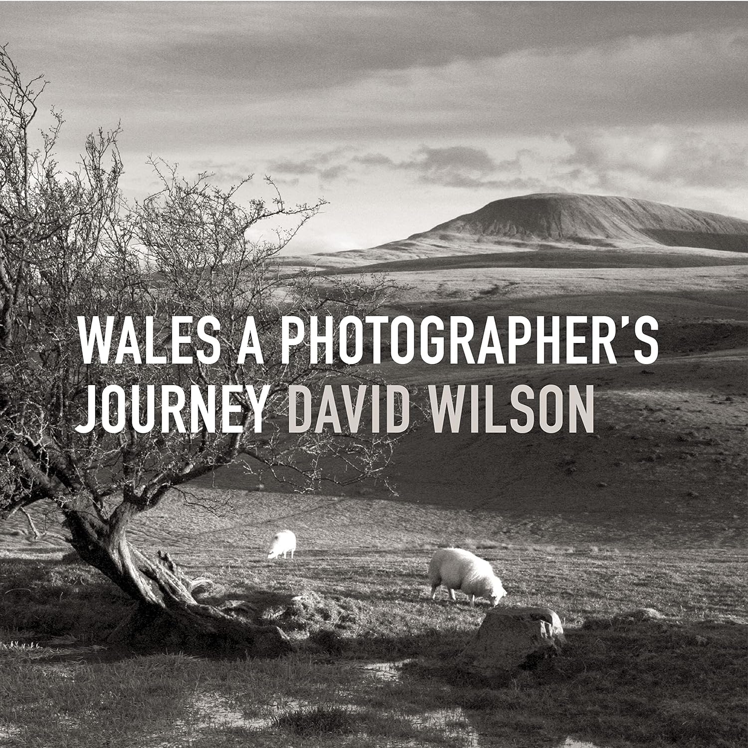 Book - Wales: A Photographer's Journey - Hardback