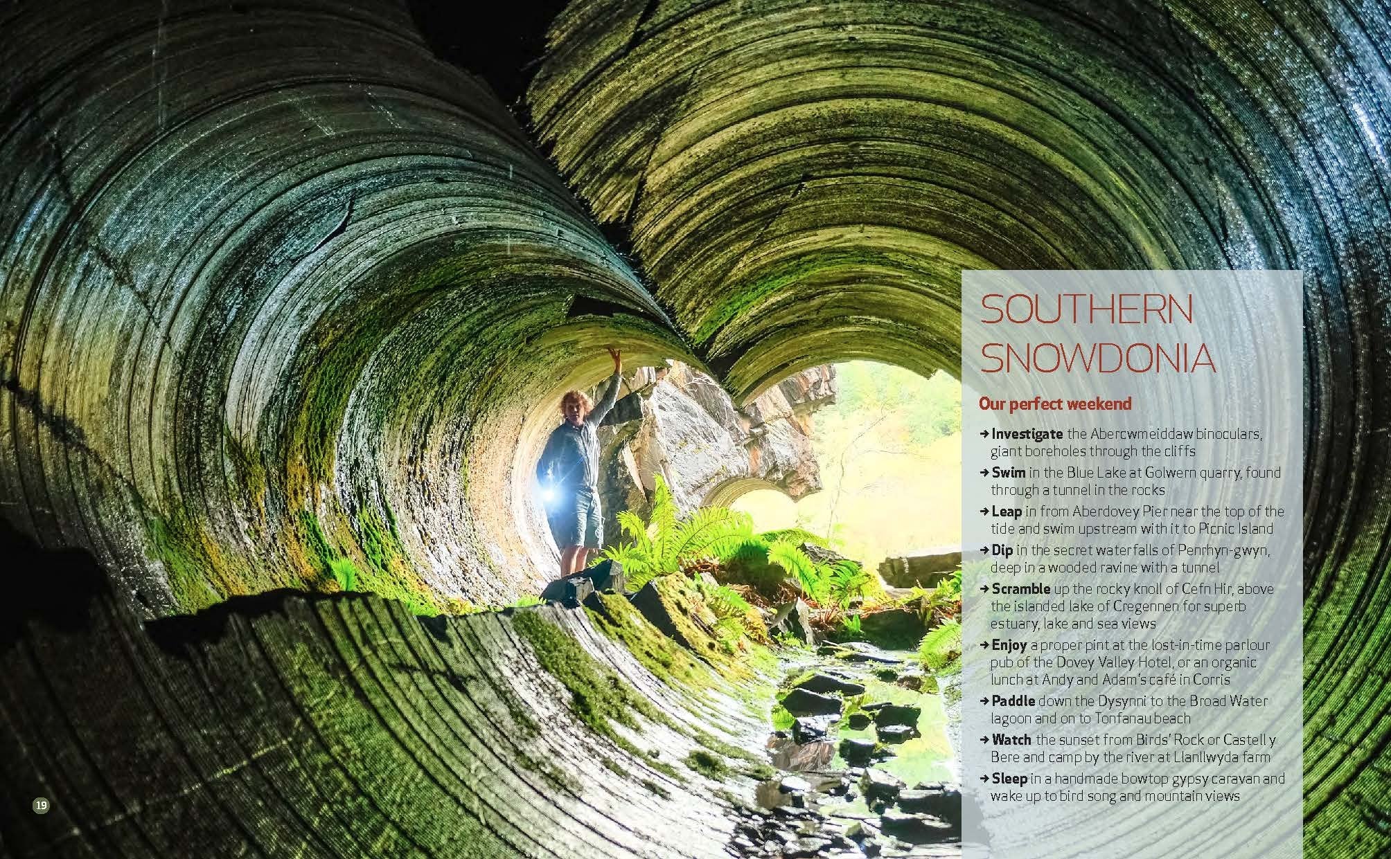 Book - Wild Guide: Wales - Paperback