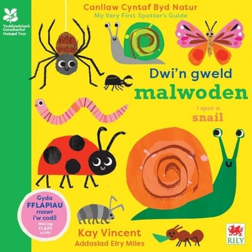 Book - Dwi'n Gweld Malwoden / I Spot a Snail - Hardback