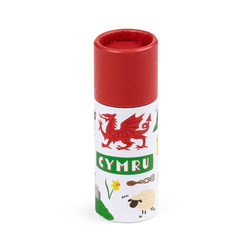 Welsh Dragon Wales (Cymru) Souvenir set of 2 Pencil Pots with 12 Colouring Pencils