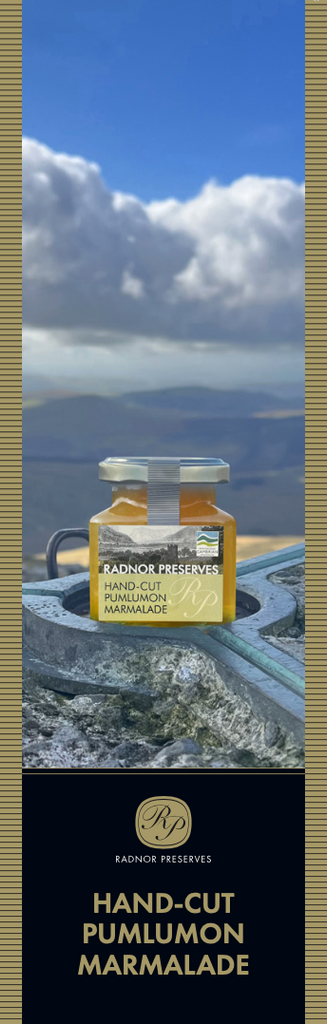 Radnor Preserves A Taste of Wales Gift Set