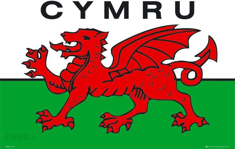 Large Cymru Dragon Welsh Flag Poster